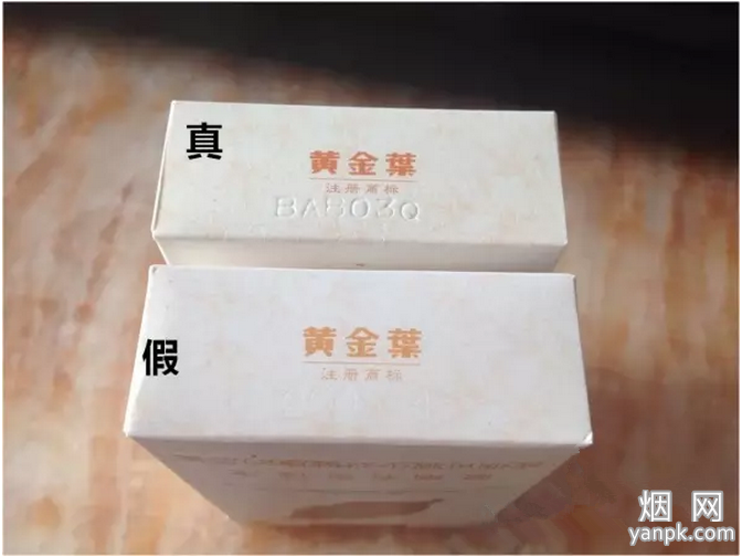 特别宣传----黄金叶天叶真伪鉴别