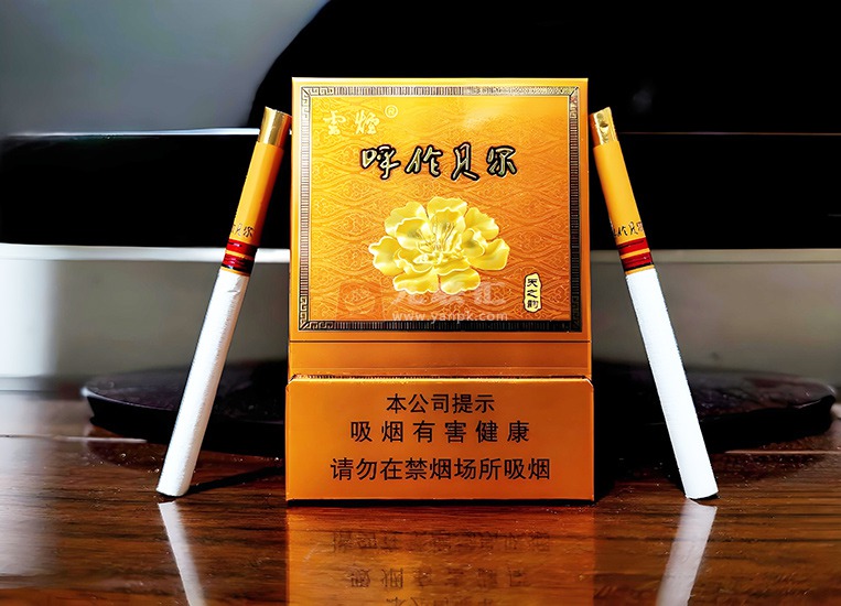 云烟呼伦贝尔（天之韵）