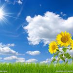 jeerychu的个人空间