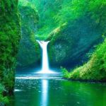 阿童木的个人空间