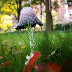 红灯的九联汇个人空间