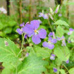 放牛的小二郎的九联汇个人空间