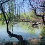 南柯123的九联汇个人空间