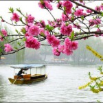 醉成风的九联汇个人空间