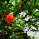 样样红的九联汇个人空间