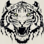 恋歌的九联汇个人空间