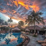 290894300的九联汇个人空间