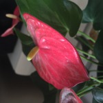 them的九联汇个人空间