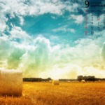 蚂蚱庙的九联汇个人空间