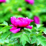 风花雪月的九联汇个人空间