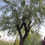 古月山川的九联汇个人空间