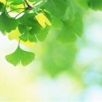 绿色的九联汇个人空间