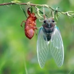 知了叫了的九联汇个人空间