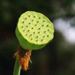 汽水的九联汇个人空间