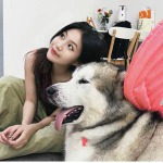 coast的九联汇个人空间