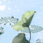 东北的九联汇个人空间