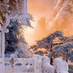 Anubis的九联汇个人空间