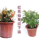 美格的九联汇个人空间