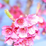 金冠的九联汇个人空间