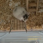 Addouji的九联汇个人空间