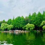 uain的九联汇个人空间