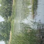 左手指月的九联汇个人空间