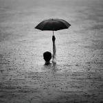 解忧草的九联汇个人空间