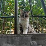 新世界的九联汇个人空间