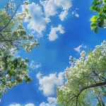 老街口的九联汇个人空间