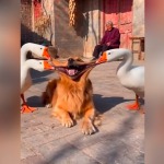 woshiasan的九联汇个人空间