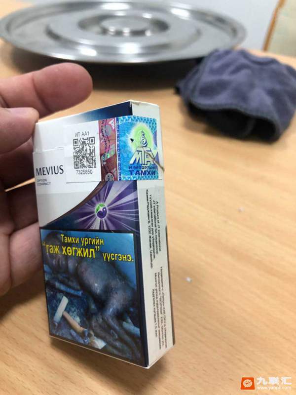 七星蓝莓蒙古版