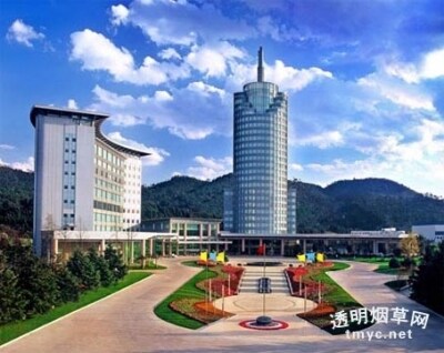 红塔烟草（集团）有限责任公司