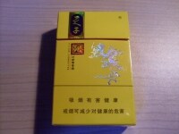 娇子(锦绣小天子)