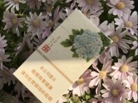 黄金叶(国色细支.洛阳牡丹)