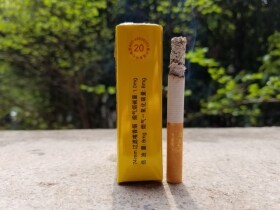 娇子(软传奇天子)