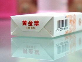 黄金叶(软黄金)