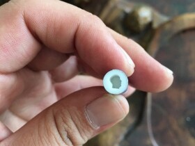 芙蓉王(蔚蓝星空)