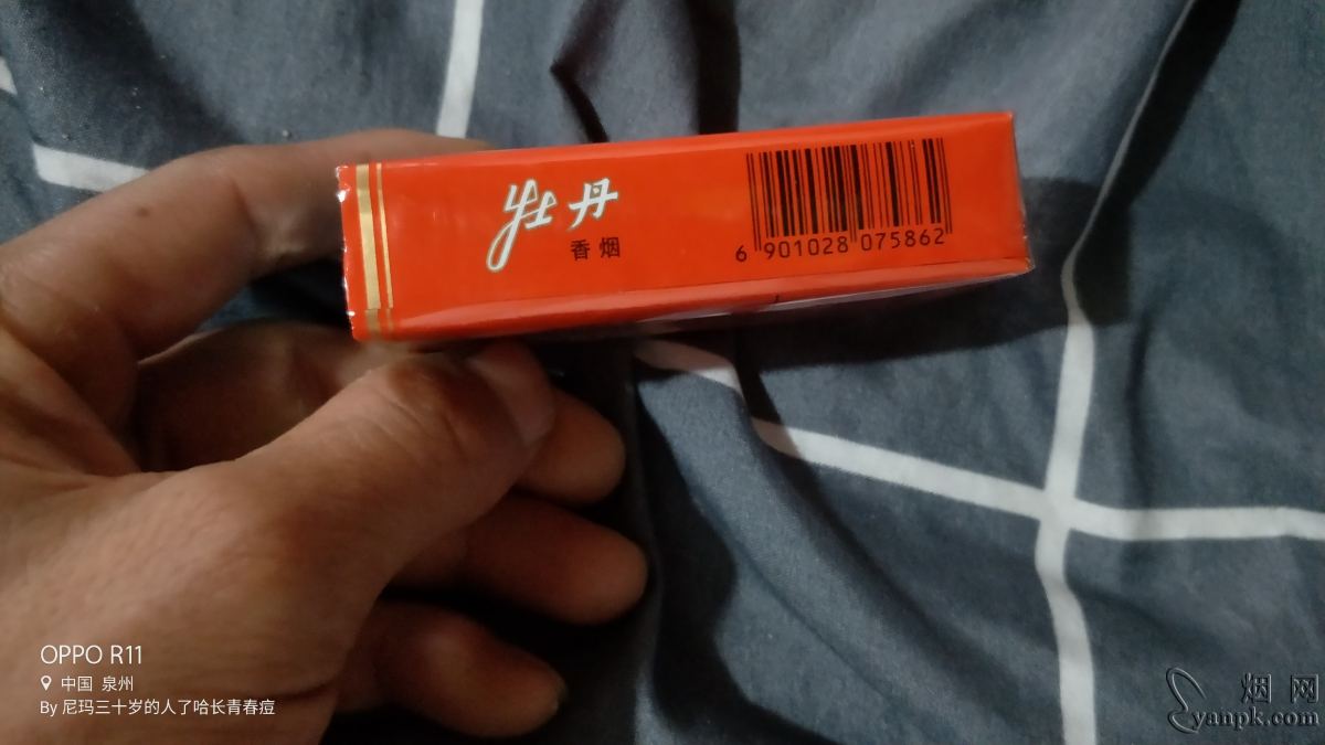 牡丹(软)相册 851_27622