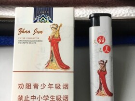 大青山(昭君和亲中支)