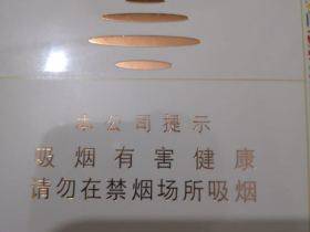 黄鹤楼(雪之景5号)