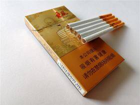 七匹狼(乘风启航)