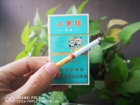 云烟(小熊猫家园)