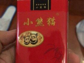 小熊猫(红世纪风)