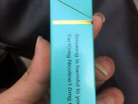 小熊猫(精品出口)