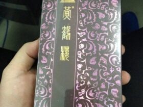 黄鹤楼(新雅韵)