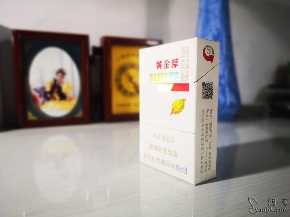 黄金叶金丝路相册 92605_83526