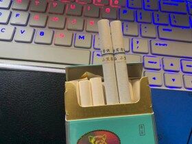 小熊猫(特需专供)