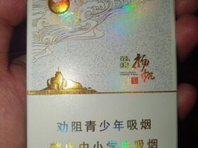 七匹狼(鼓浪扬帆)