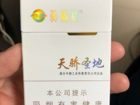 黄鹤楼(硬天骄圣地)