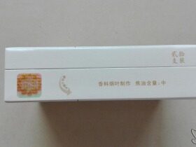 黄山松(醉翁亭)